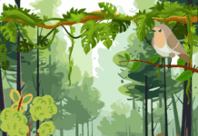 वनों का वरदान: पारंपरिक ज्ञान से आधुनिक उपयोग तक पर्यावरणीय गुण एवं चमत्कार