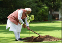 पीएम मोदी ने लगाया कच्छ की महिलाओं से मिला सिंदूर का पौधा