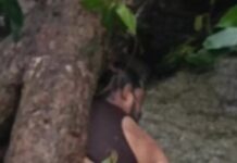 कांकेर में रायपुर के युवक की मौत, जलप्रपात में हुआ हादसा