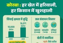 जल संसाधन विभाग की 25 वर्षों में विकास की धारा