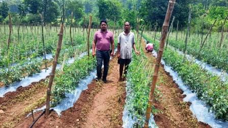 20251106195307_income