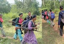 नक्सल मोर्चे पर बड़ी सफलता: उदंती एरिया कमेटी के 7 नक्सली आत्मसमर्पण के लिए निकले