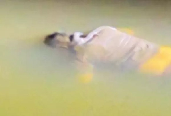 20251108132459_maut 01