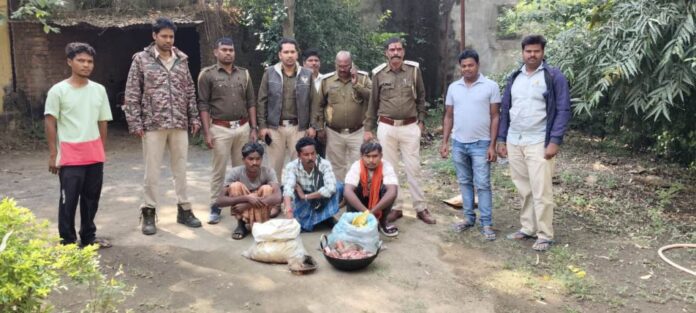 20251114162515_suwar shikar