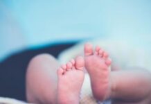 जंगल में लावारिस हालत में मिला नवजात