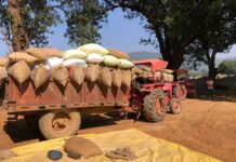 अब तक 85 प्रकरणों में 11298.10 क्विंटल धान और 46 वाहन जब्त