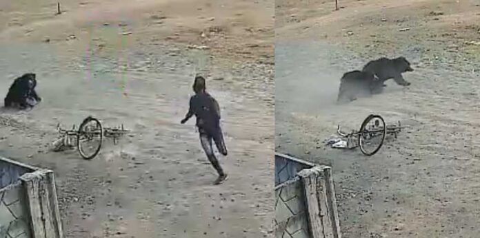 20251215131843_bhaalu haucker