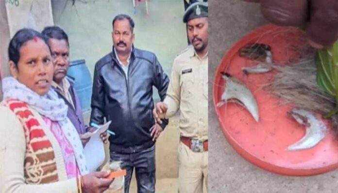 20251218174819_mahila sarpanch