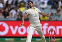 मिचेल स्टार्क ने इस साल टेस्ट में लिए सर्वाधिक 55 विकेट