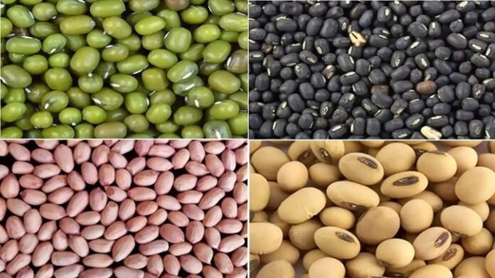 20260105175940_tilhan