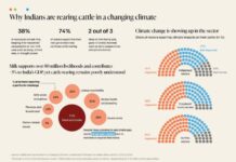 एक तिहाई भारतीय पशुपालक दूध नहीं, पोषण और खेती को देते हैं प्राथमिकता: सीईईडब्ल्यू