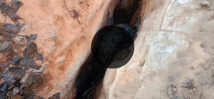 20260128221100_shaavak maut