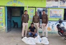 बेलादुला पुलिस ने तस्कर को किया गिरफ्तार, 140 लीटर महुआ शराब जब्त