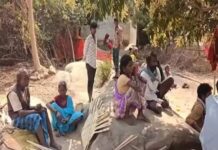 जंगल गए ग्रामीण पर तेंदुए का हमला, कई दिन बाद मिला कंकाल