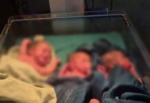 बलरामपुर में महिला ने तीन बच्चों को दिया जन्म, परिवार में खुशी