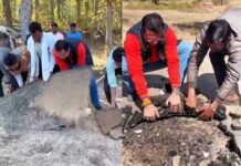 पीएम ग्राम सड़क में तोड़फोड़, 10 लाख की क्षति; तरेगांव जंगल थाने में केस दर्ज