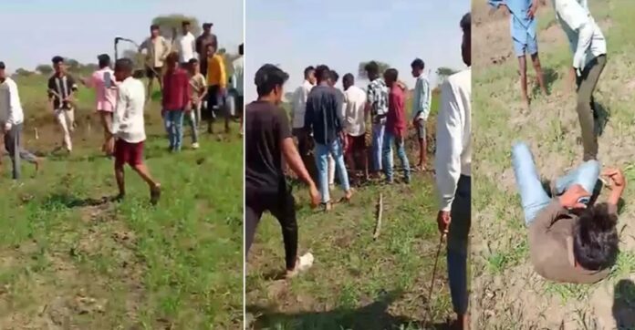 20260217163748_loot pitai