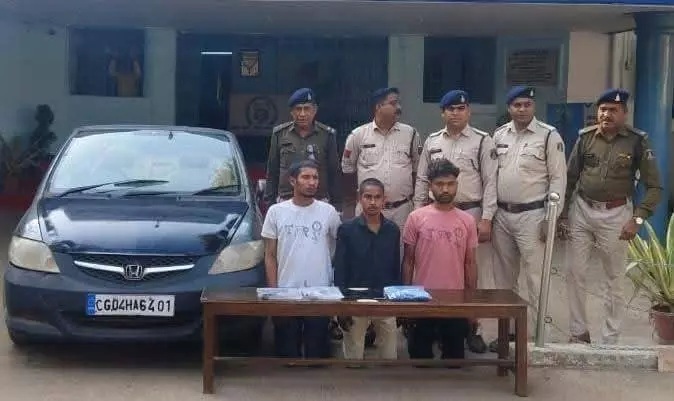 20260226010000_aaropi 02