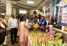 जिला कार्यालय में स्व-सहायता समूह ने लगाया हर्बल गुलाल स्टॉल