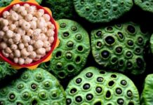 वनांचल क्षेत्र में आय के नए स्रोत : मखाना खेती से सशक्त होंगे महिला समूह