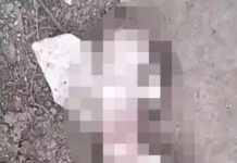 दुर्ग जिला अस्पताल के पीछे नाली में नवजात का शव मिला