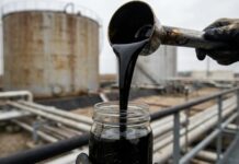 पेट्रोल के दाम में मिलेगी बड़ी राहत? एआईडीए ने नितिन गडकरी को दिया 20% से ज्यादा इथेलान देने का प्रस्ताव