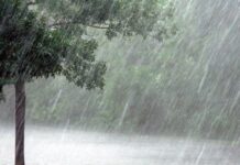 प्री-मानसून का बदला मिजाज 28 से 31 मार्च तक भारी बारिश का अलर्ट, कई राज्यों में सतर्कता जरूरी ? प्री-मानसून का बदला मिजाज 28 से 31 मार्च तक भारी बारिश का अलर्ट, कई राज्यों में सतर्कता जरूरी ?