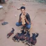 दुर्लभ जीव ‘शेकरू’ का शिकार कर रील बनाई, युवक गिरफ्तार