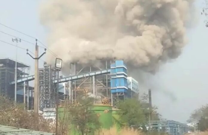 20260414162657_plant hadsa