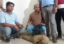 पैंगोलिन बेचने पहुंचे 2 तस्कर गिरफ्तार, वन विभाग की बड़ी कार्रवाई