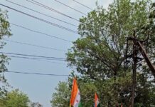 छात्र संघ चुनाव बहाली की मांग पर एनएसयूआई का प्रदेशभर में प्रदर्शन