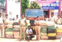 महासमुंद पुलिस की बड़ी कार्रवाई: साढ़े चार करोड़ का गांजा जब्त