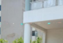 रायपुर में पशु क्रूरता मामले में त्वरित कार्रवाई, आरोपी गिरफ्तार