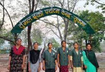 तुंगल इको-पर्यटन केंद्र बना बदलाव की मिसाल, 10 हजार से ज्यादा पर्यटक पहुंचे