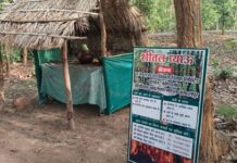 प्यास भी बुझा रहे, जंगल भी बचा रहे: वन विकास निगम की अनूठी पहल बनी मिसाल