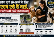 अमेरिका में ‘डॉग नैनी’ बनी हाई-प्रोफाइल नौकरी, कुत्तों की देखभाल से करोड़ों की कमाई!