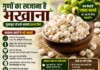सफेद सोना नहीं, सेहत का खजाना: जानिए क्यों हर उम्र के लोगों की पसंद बन रहा है मखाना