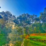 विश्व पर्यावरण दिवस 2026: हरित पहल, जल संरक्षण और जनसहभागिता से पर्यावरण संरक्षण की नई मिसाल बना रहा छत्तीसगढ़