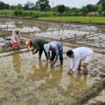 जल संरक्षण और प्राकृतिक खेती से बदल रही बंजर जमीन की तस्वीर, मिसाल बनी मनोहर गौशाला