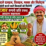धान छोड़ वैकल्पिक खेती अपनाने वाले किसानों को मिलेगा ₹15 हजार प्रति एकड़ प्रोत्साहन