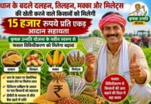 धान छोड़ वैकल्पिक खेती अपनाने वाले किसानों को मिलेगा ₹15 हजार प्रति एकड़ प्रोत्साहन