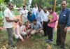 भिलाई को हरा-भरा बनाने निगम का अभियान, सेक्टर-04 उद्यान में हुआ पौधारोपण