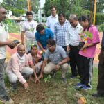 भिलाई को हरा-भरा बनाने निगम का अभियान, सेक्टर-04 उद्यान में हुआ पौधारोपण