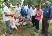 भिलाई को हरा-भरा बनाने निगम का अभियान, सेक्टर-04 उद्यान में हुआ पौधारोपण