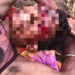 बीजापुर में भालू का हमला, युवक गंभीर घायल
