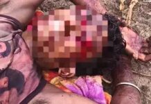 बीजापुर में भालू का हमला, युवक गंभीर घायल