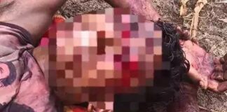 बीजापुर में भालू का हमला, युवक गंभीर घायल
