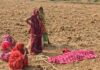 सरगुजा में नवविवाहिता ने फांसी लगाकर दी जान, मायके पक्ष ने लगाया प्रताड़ना का आरोप