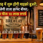 छत्तीसगढ़ में माइक्रो ब्रुअरी को मंजूरी, अब मिलेगी ताजा क्राफ्ट बीयर