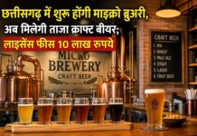 छत्तीसगढ़ में माइक्रो ब्रुअरी को मंजूरी, अब मिलेगी ताजा क्राफ्ट बीयर